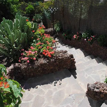 Casa Rural El Olivar La Almazara-3
